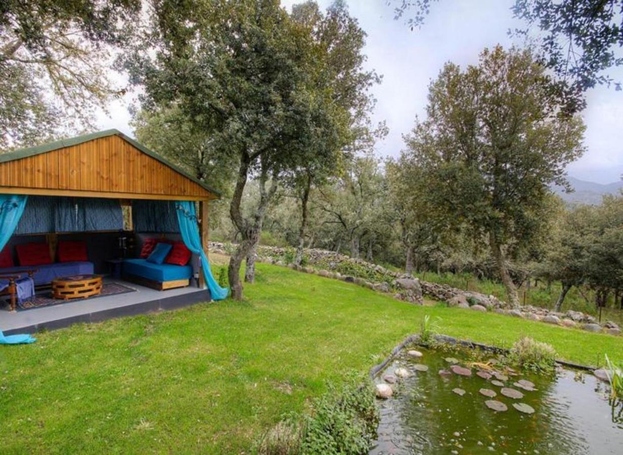 Studio Confortable Avec Vue Sur La Montagne A Moltifao 30M² Jardin Exterior photo