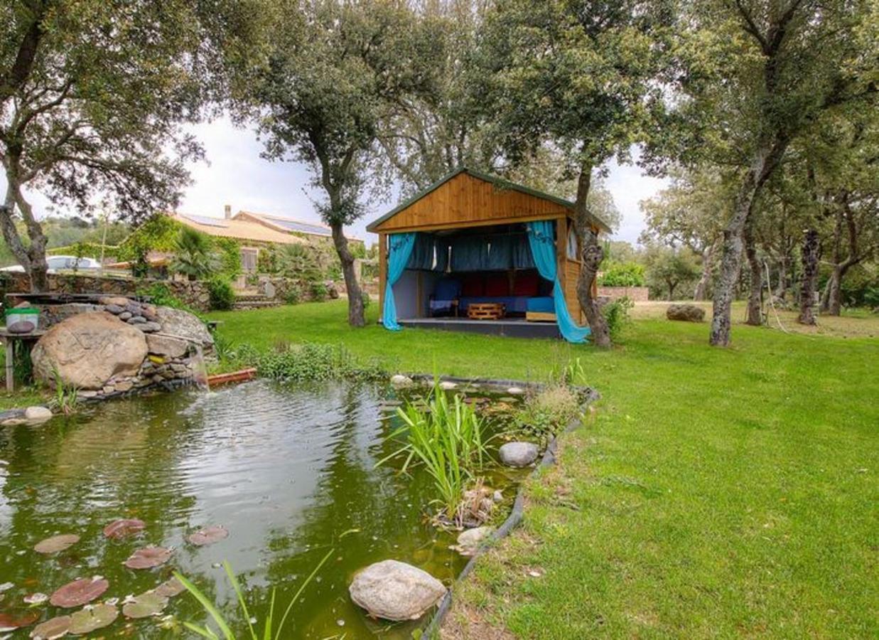 Studio Confortable Avec Vue Sur La Montagne A Moltifao 30M² Jardin Exterior photo